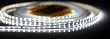 Лента  5х5000мм, SMD 2835, 24В, холодный,  9.6 Вт/м, 120 диодов/м, 1 200 Лм/м, IP20, AQ