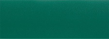 1861 Кромка ПВХ 2х36мм, зеленый, без клея, Technoplast