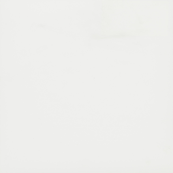 Панель, EVS006/3012, 18х1220х2800мм, Серебряный сплав, супермат, 2х-сторонняя