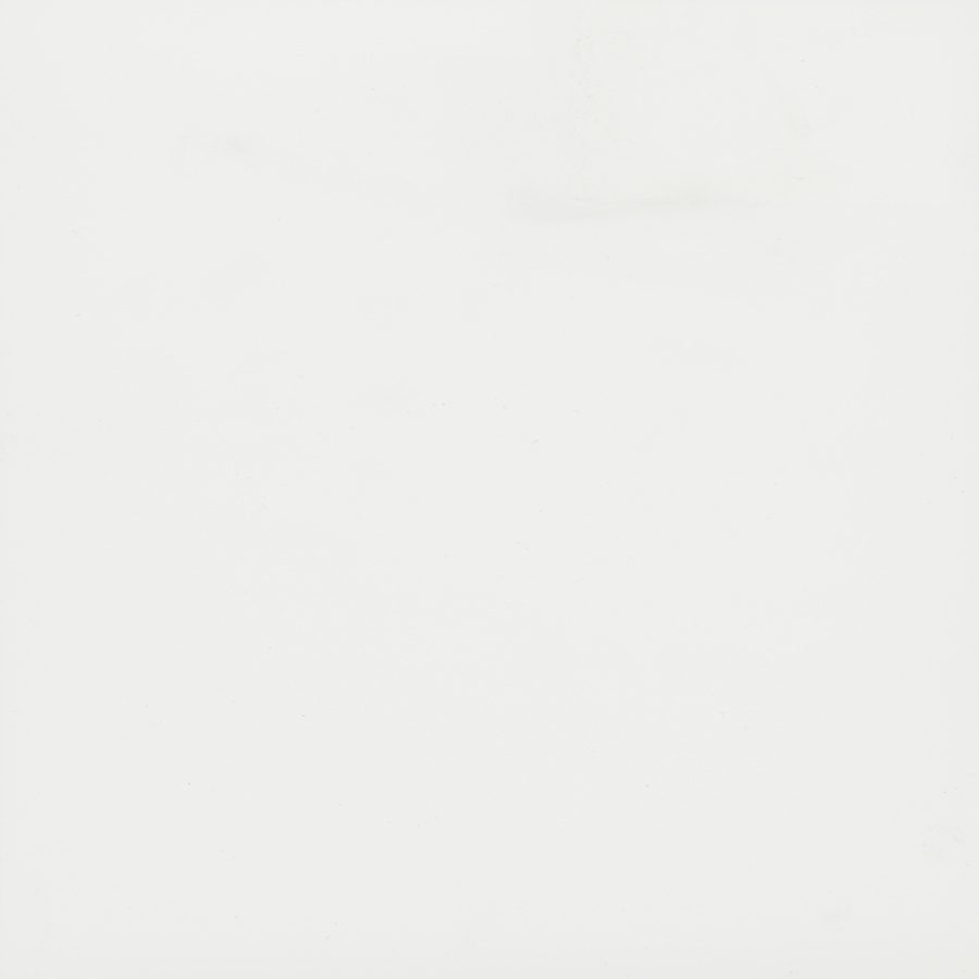 Панель, EVS006/3012, 18х1220х2800мм, Серебряный сплав, супермат, 2х-сторонняя