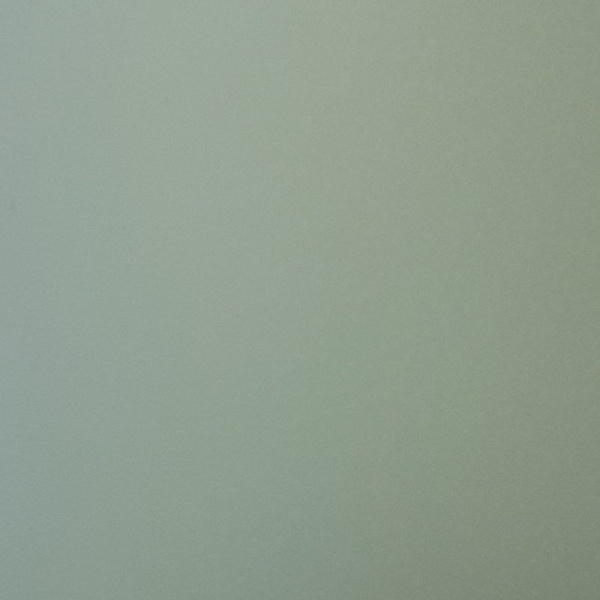 Панель, P010, 10мм, 1220х2800мм, soft touch матовый мята