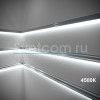 Лента  5х5000мм, SMD 2835, 24В, нейтральный, 10.0 Вт/м, 120 диодов/м, 1 000 Лм/м, CRI>85, IP20, GLS