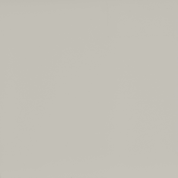 Панель, EVS001/3019, 18х1220х2800мм, Белый фарфоровый оникс, супермат, 2х-сторонняя