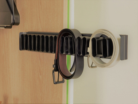 Вешалка для галстуков и ремней, 450мм, D 475 мм, выдвижная, шампань, Kessebohmer