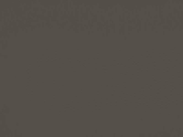 Панель, 728/231, 18мм, 1220х2800мм, soft touch матовый темно-серый/белый, AGT