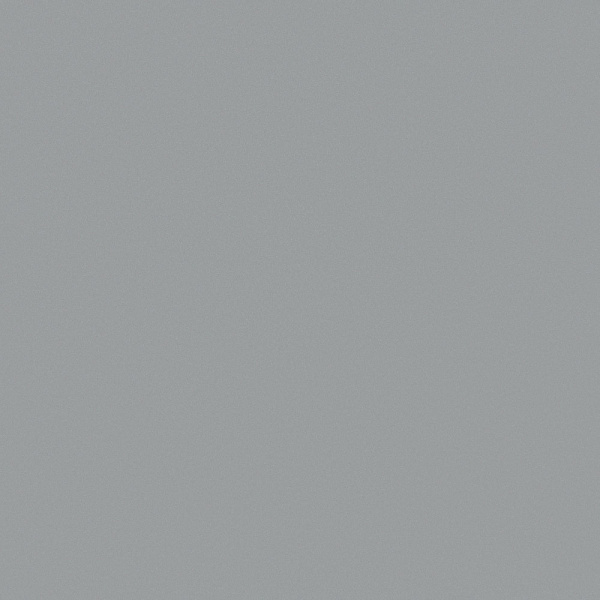 Панель, EVS005/3017, 18х1220х2800мм, Стальной графит, супермат, 2х-сторонняя