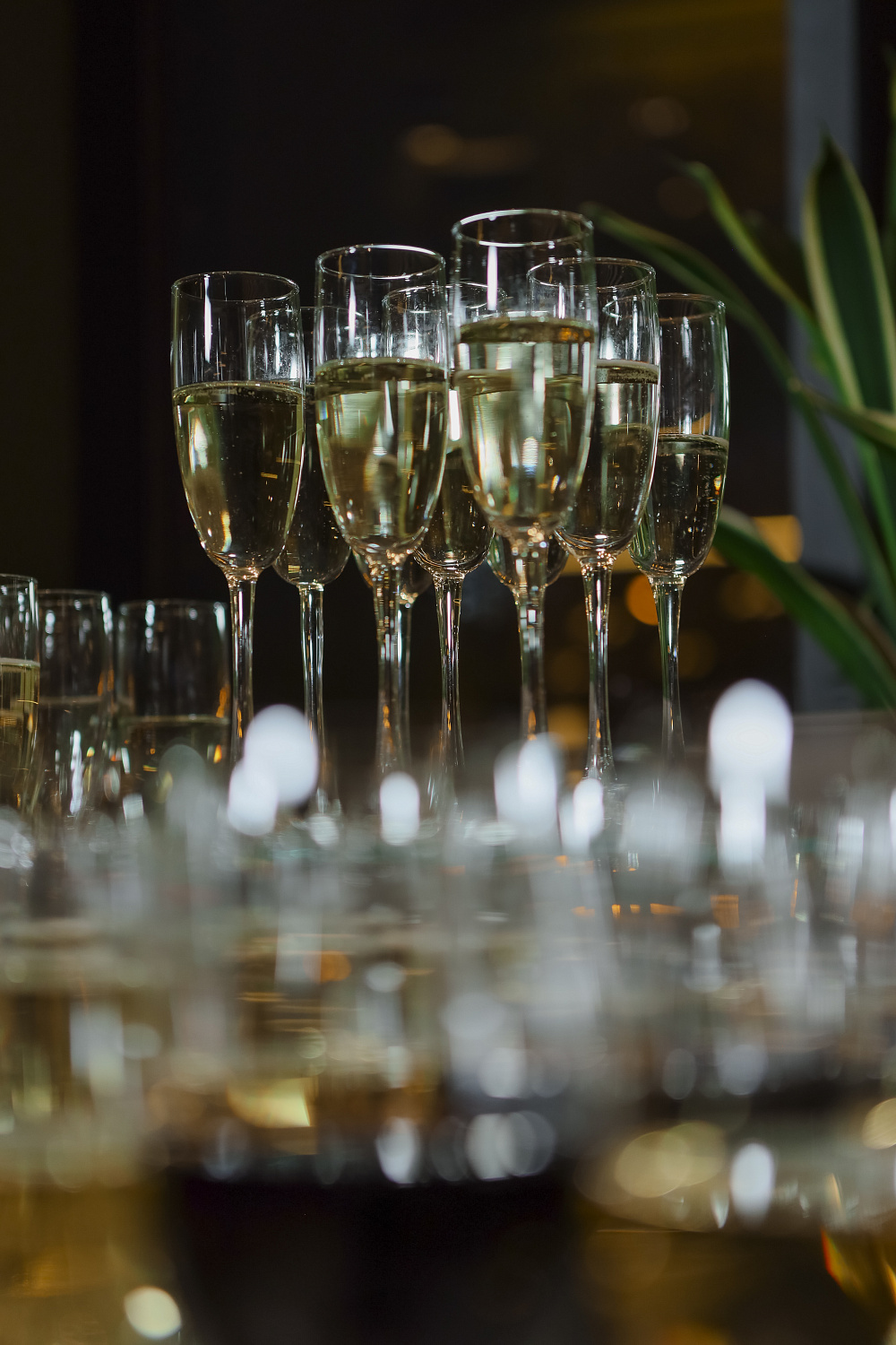 Обучающий семинар OMOIKIRI-2025